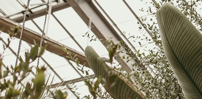Matthaei Botanical Gardens Greenhouse
